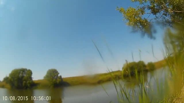Как рыба в воде? смотреть онлайн