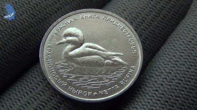 Приднестровье. 1 рубль 2023 год .Красная книга . Красноносый нырок. # 686 смотреть онлайн