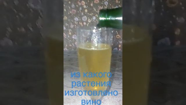 вариант  2 из какого растения изготовлено вино,  жду ваши варианты