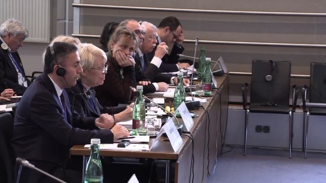 General Committee on Political Affairs and Security, 21 February 2020 смотреть онлайн