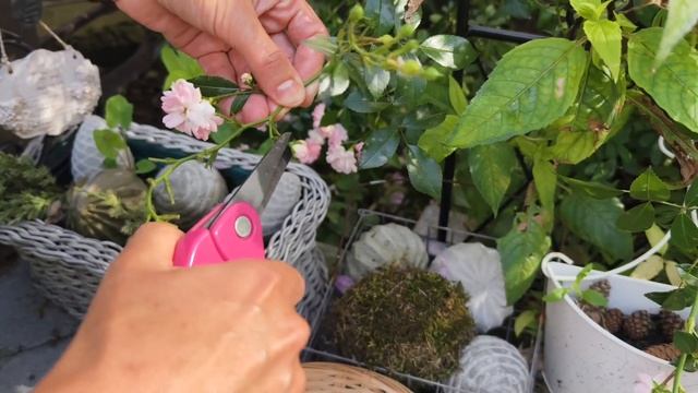 Саше из ароматных трав и цветов / sachet for herbs смотреть онлайн