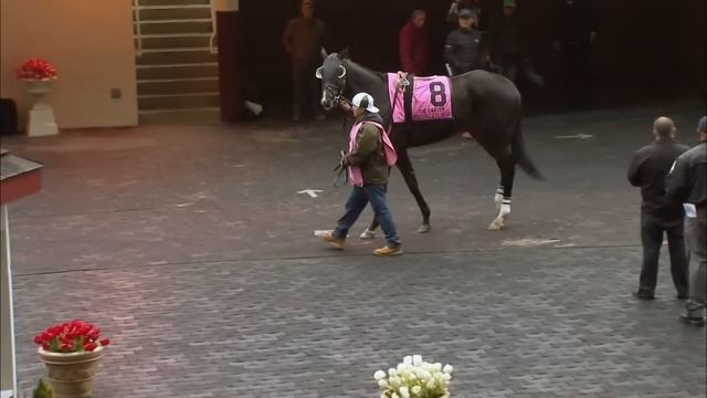 A. P. Indian Goes for Fifth Straight Win in 2016 Forego смотреть онлайн