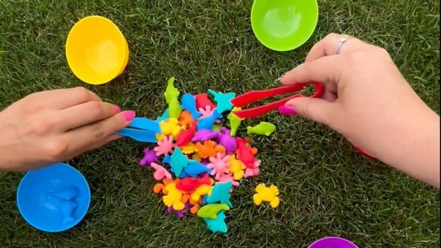 Игровой набор для изучения цветов по технике Монтессори смотреть онлайн