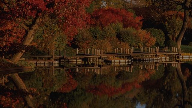 Elaine Paige - The Things You Are To Me