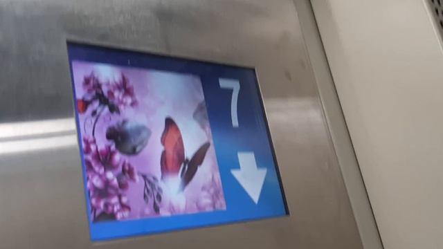 Скрипучий Музыкальный лифт ЩЛЗ Ecomaks 2020г ул. Самолётная 60 смотреть онлайн