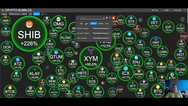 Crypto Bubbles  крипто пузыри