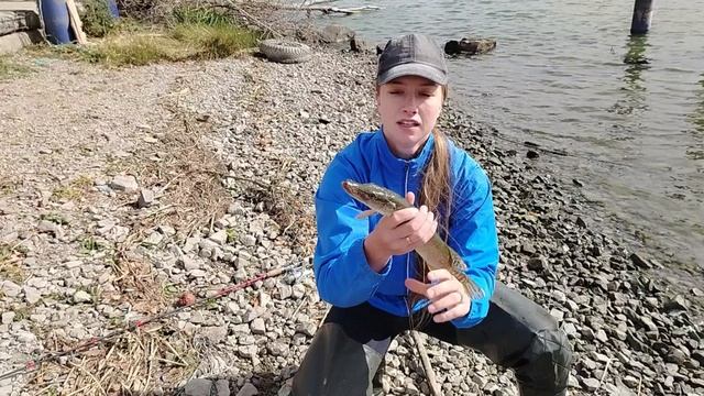 Рыбацкие будни. Ловлю щуку