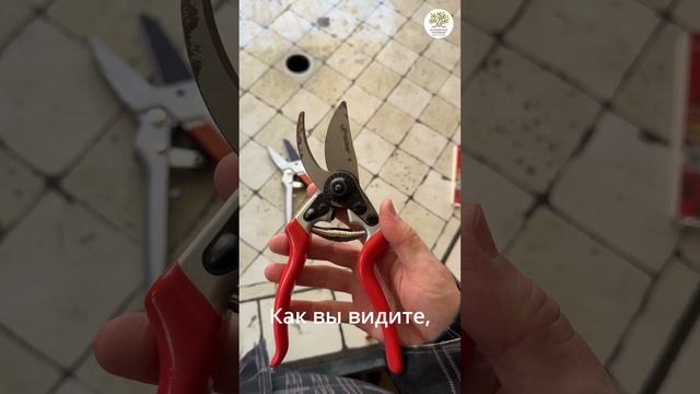 Весенняя обрезка. Инструменты за 1 минуту. Часть 1 #shorts смотреть онлайн