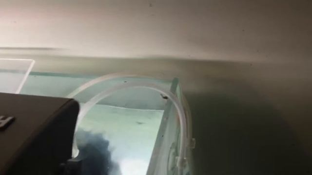 Jbl air pump смотреть онлайн