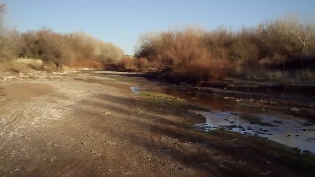 KX BIGFOOT (H.S.-COGNATUS) GLST 03 17 2014 - RECOVER CAM / EVIDENCE COLLECTION смотреть онлайн