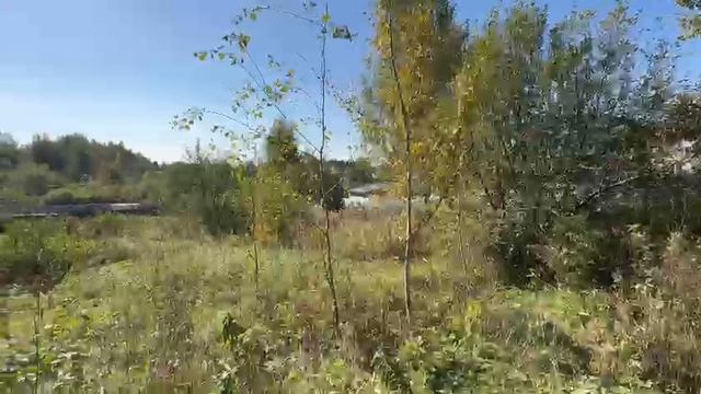 зу :695 д. Липуниха смотреть онлайн