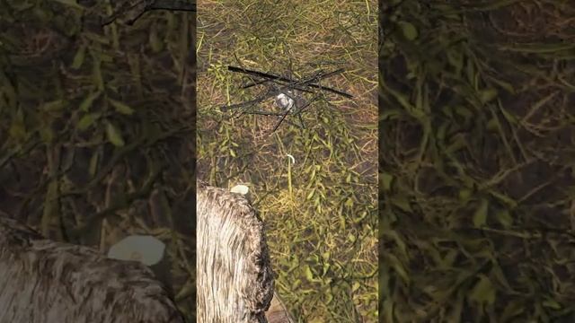 5 КРАФТОВ ЧТОБЫ ВЫЖИТЬ - DAYZ #dayz #dayzguide смотреть онлайн