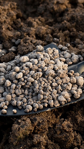 Готовь почву под посадку картофеля с осени! смотреть онлайн