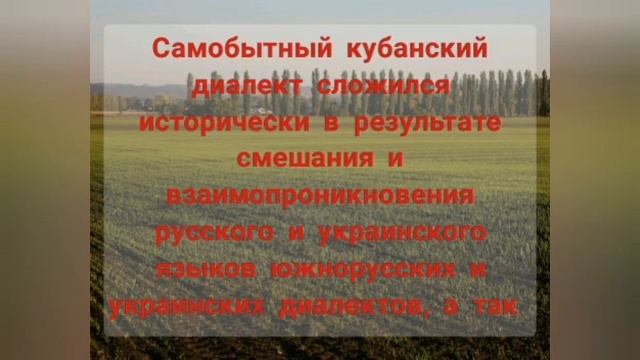 Кубанский говор смотреть онлайн