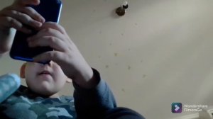 Ааааа мне звонит Лунтик Х 😱он стучит в дверь