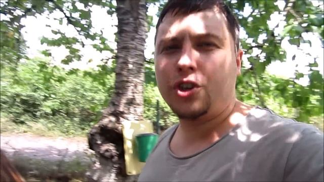 Бабёнка РАБОТЯЩАЯ ))) 100кг ПОЗИТИВА - Полив УДАЛСЯ! Муравьи пьют Кофе) смотреть онлайн