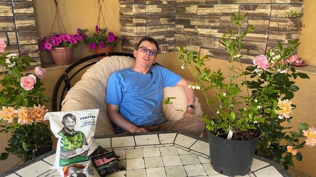 Все о Голубике от агронома Егорьевского питомника Никитенко Александра смотреть онлайн