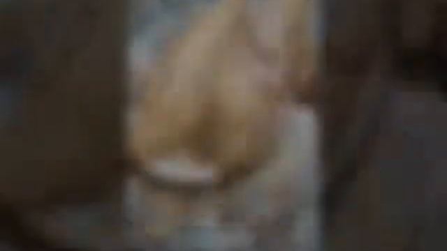 Самый мощный самый вкусный утка 😋 смотреть онлайн