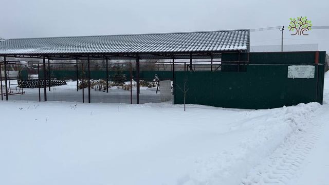 Новый навес у кассовой зоны в Егорьевском питомнике Никитенко Александра смотреть онлайн