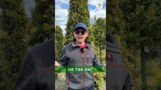 Правда о колоновидной яблоне #shorts #сад #огород #дача #яблоня смотреть онлайн