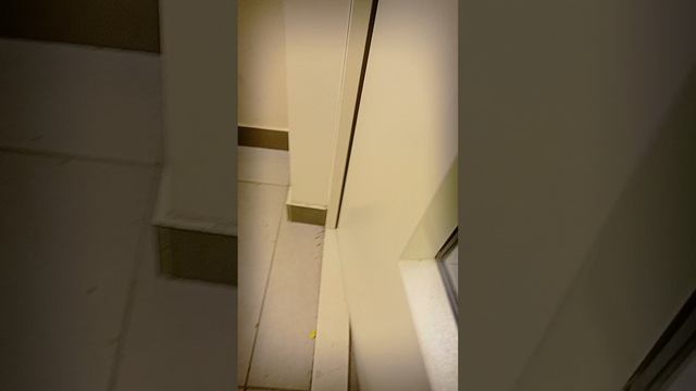 блин я смотреть онлайн