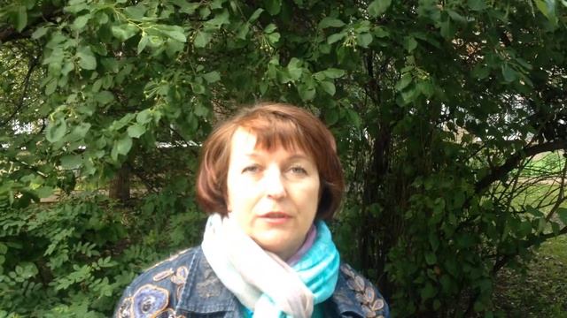 отзыв компании Строй Групп смотреть онлайн