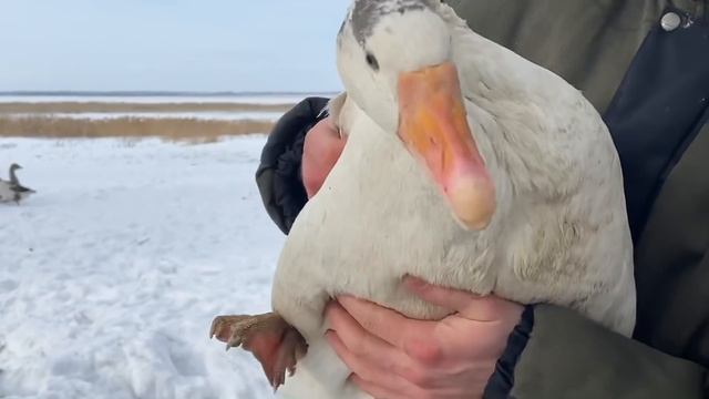 Все мне МАЛО 😅 смотреть онлайн