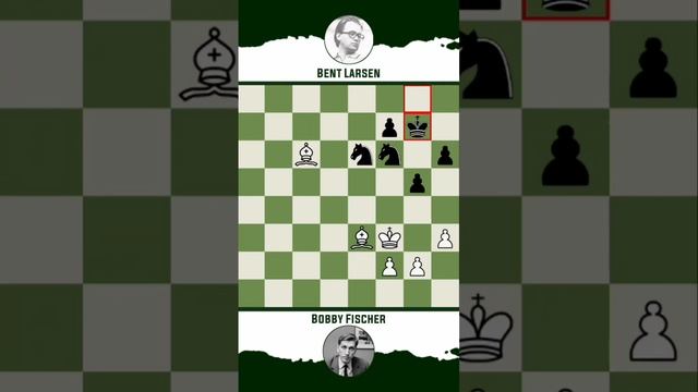 Bobby Fischer vs Bent Larsen • Zurich - Switzerland, 1959 смотреть онлайн