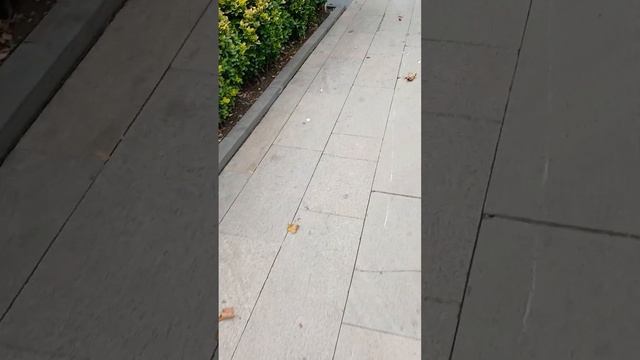 Тбилиси. БАНЯ 5 самая бюджетная(входной билет в общий зал стоит 6 лари, а услуги терщицы 10 лари). смотреть онлайн