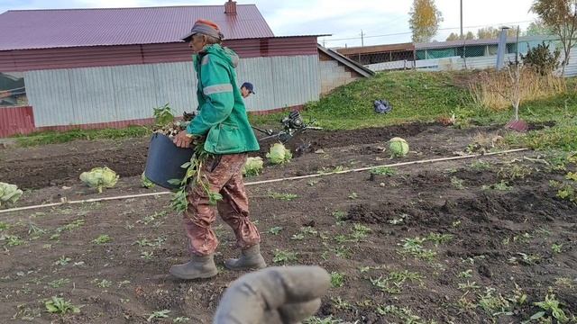 Хроника дня //пашем пересаживаем и снова с Федей // приехали за малиной// смотреть онлайн