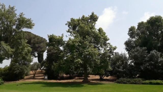 Катаемся по субботам. Зихрон Яков. Парк Ротшильда. Катаемся по субботам смотреть онлайн