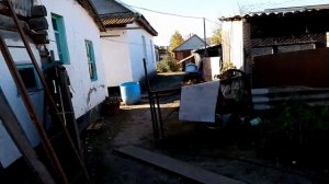 Почистила посолила рыбку / стираю ковры / готовлю рагу овощное /