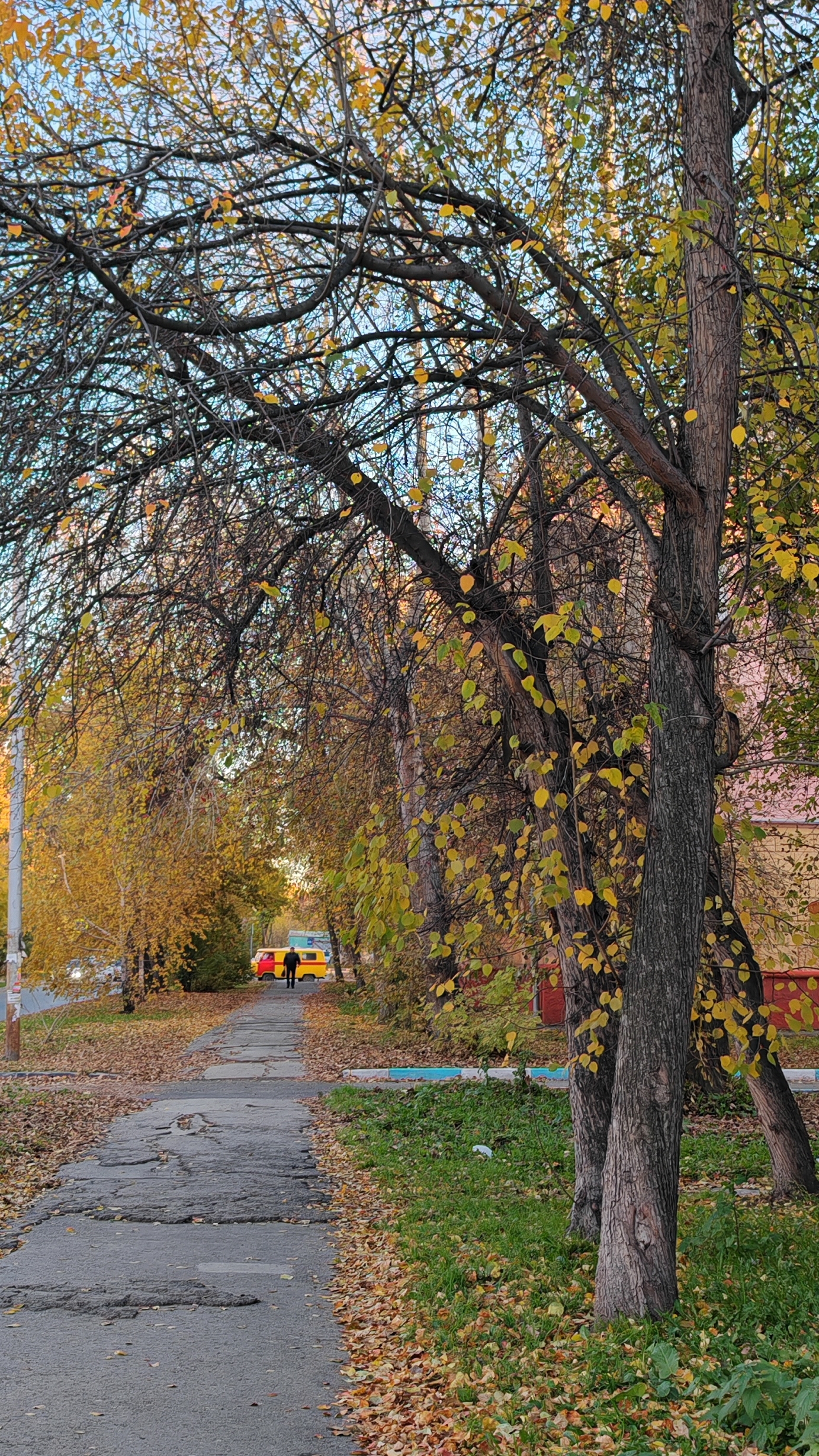 Вечер в октябре 🍂 03/10/2024. Новосибирск. #тренды #осень #вечер #видео #evening #autumn #video смотреть онлайн