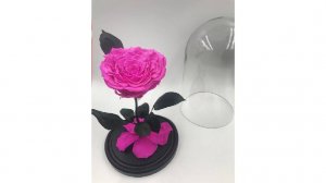 Обзор на розу в колбе Deluxe. (The One Rose - Ярко-розовая)