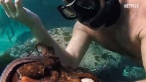 My Octopus Teacher   / Пиппа Эрлих, Джеймс Рид и Крейг Фостер — «Мой учитель — осьминог»