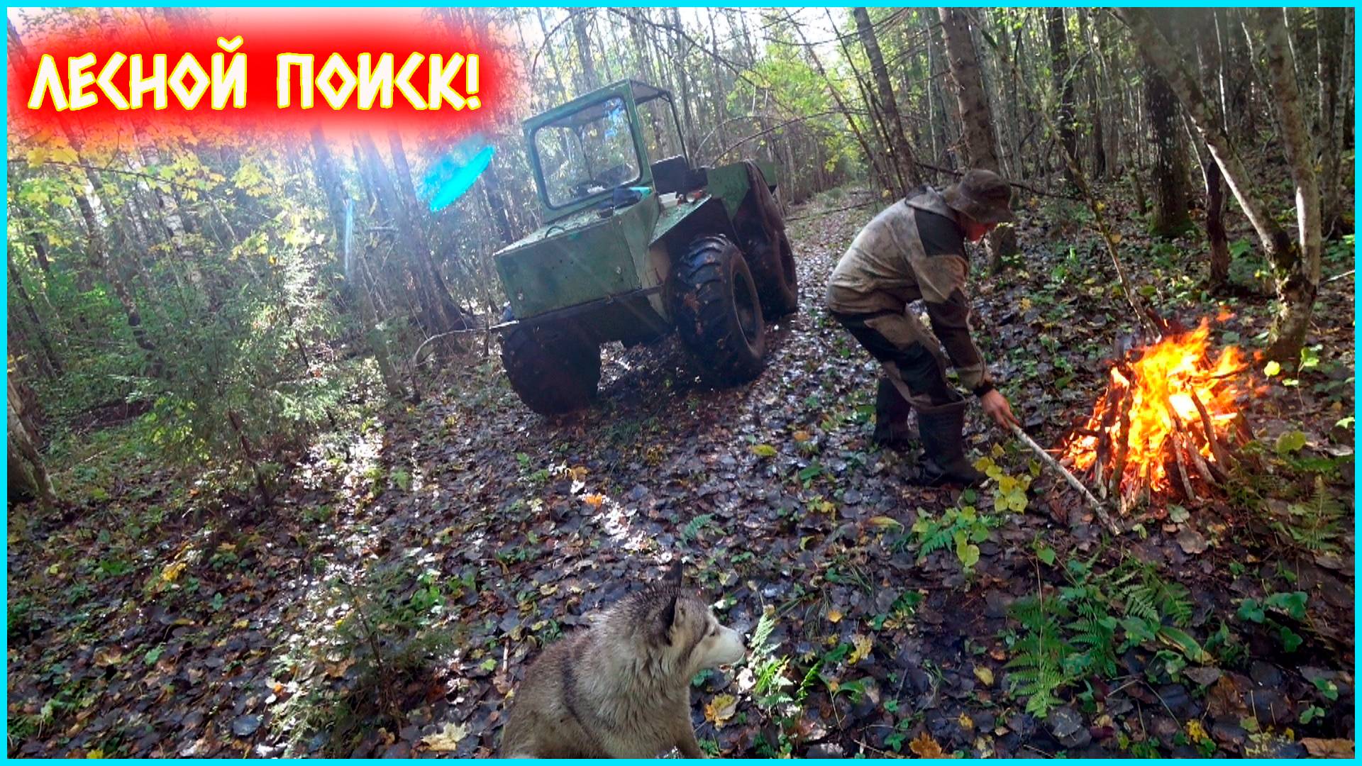 НЕОЖИДАННАЯ НАХОДКА В ЛЕСУ!!! ЧАСТЬ ДЕКАВИЛЕВСКОЙ ЖЕЛЕЗНОЙ ДОРОГИ И ПРИЯТНЫЕ ПЛЮШКИ ОТ ТТ-4! смотреть онлайн