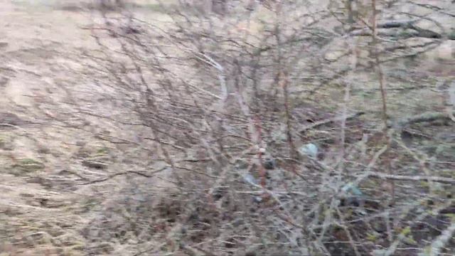 Дзякуй канкурэнтам (вясной жалеза ёсьць зау́жды) смотреть онлайн