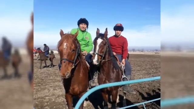 Кок бору ракета смотреть онлайн