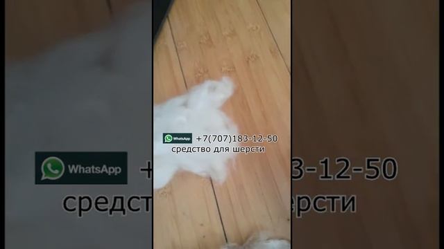 Жун жуАтын средство из Эм Эко средство для удаления жира и запаха их шерсти смотреть онлайн