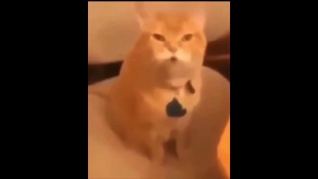 Walter what’s 2+2? смотреть онлайн