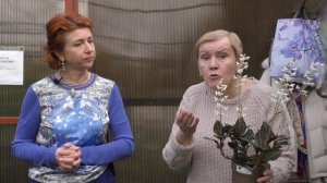 Драгоценные орхидеи - разновидности и советы по уходу.