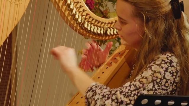 Terdege Talent Muziekconcours - 1e prijs categorie instrumentaal | JULIA SANDEE смотреть онлайн