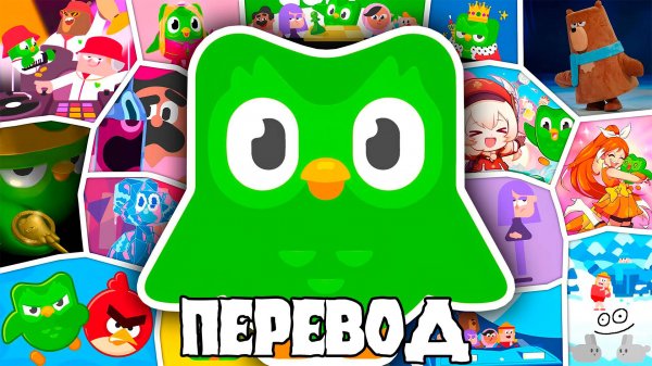 Катастрофическое поведение Duolingo (ПЕРЕВОД)