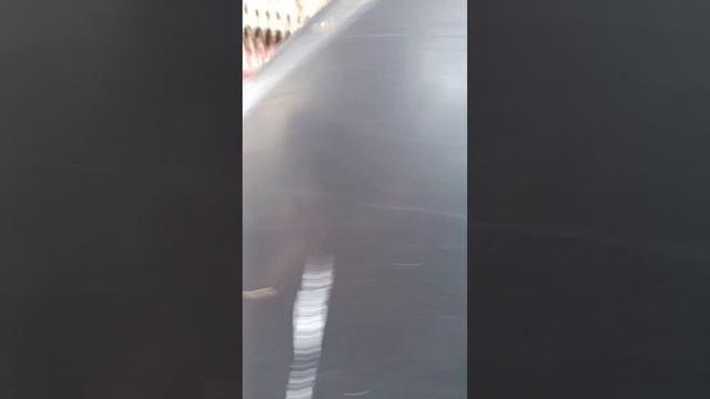 Жатка Для уборки подсолнечника Олимак Olimac Drago Gold экспресс-обзор от Виталия Белоглазова