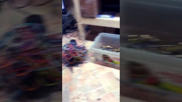 Сдать медь с меди бы бабок поиметь! #гараж #грузовик #дальнобой #заработок #красноярск #медь смотреть онлайн