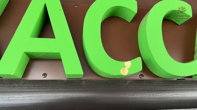 Буквы из пенопласта на улице год спустя смотреть онлайн