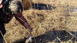 Скрадок на гуся своими руками 2 часть