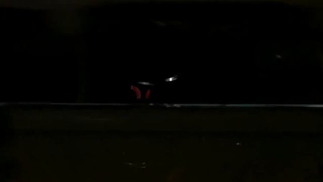 ☗ ГРУСТНЫЙ РОЛИК ПРО СПИННЕРЫ(НЕТ) ☗ СПИННЕРЫ ЗАХВАТИЛИ МИР ☗ смотреть онлайн