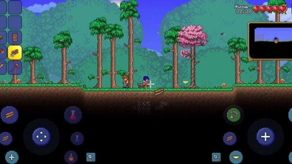 ГАЙД КАК ПОСТАВИТЬ ДВЕРЬ В ТЕРАРИИ НА ТЕЛЕФОНЕ