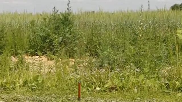 Электрогидравлические ракеты. Уличные испытания. смотреть онлайн